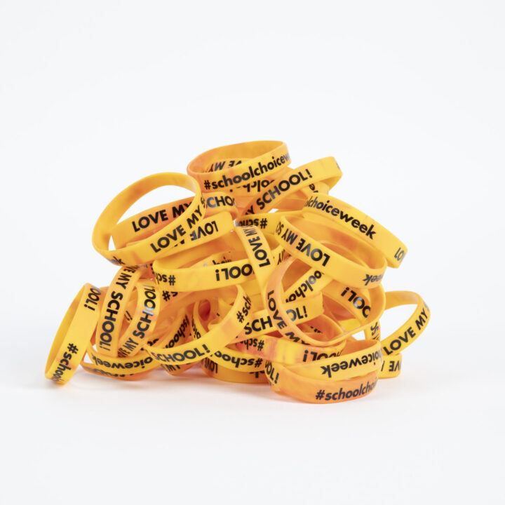 I Love My School Wristbands (Packs of 100)