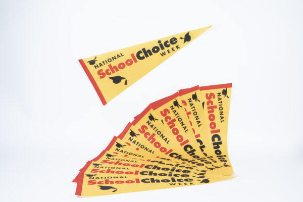 Pennant - packs of 10