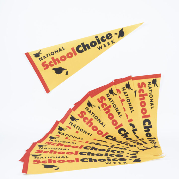 Pennant - packs of 10