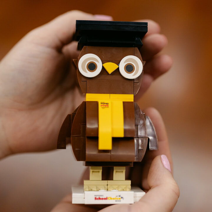 Owlbert Building Block Activity Set