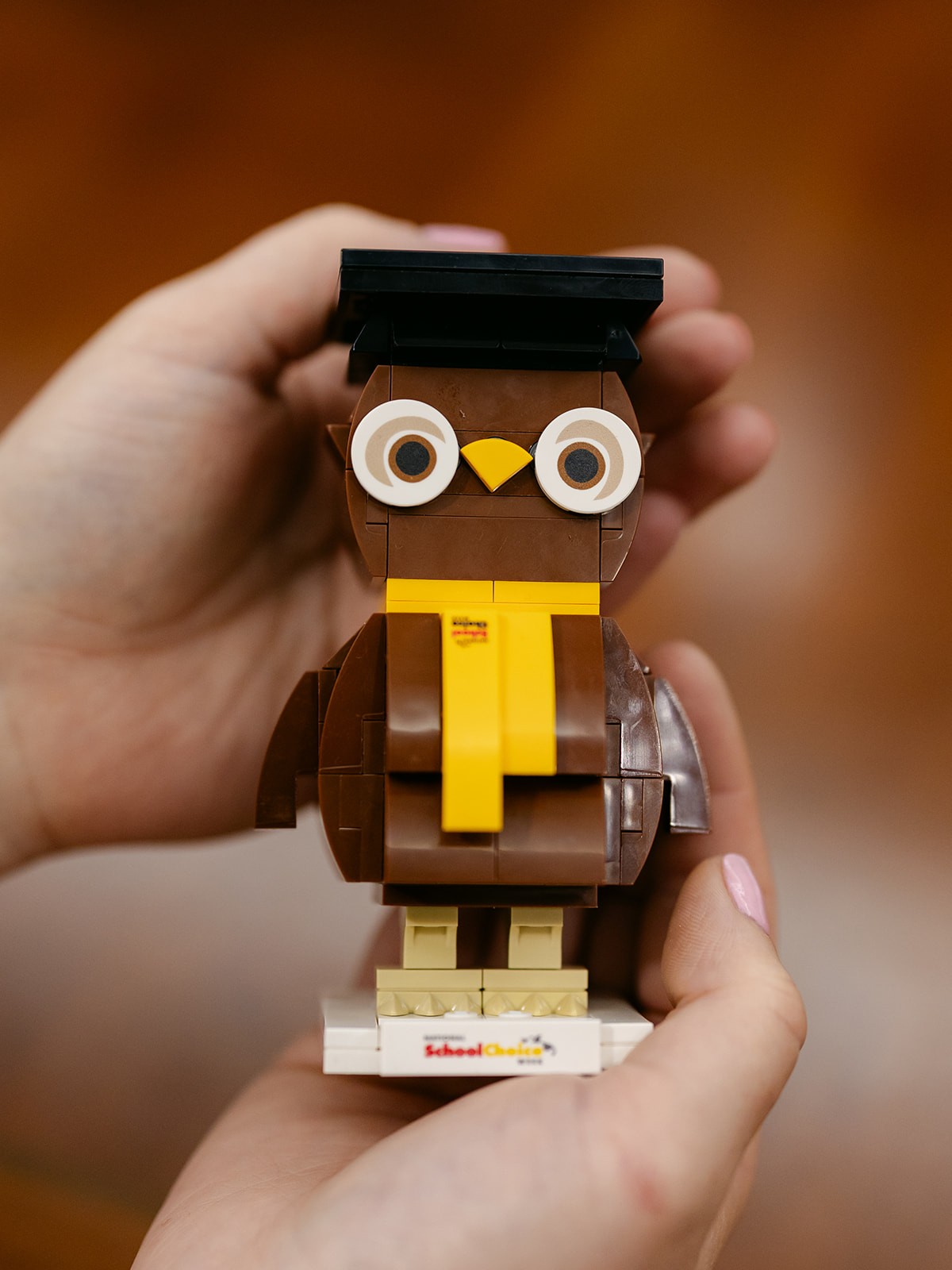 Owlbert Building Block Activity Set